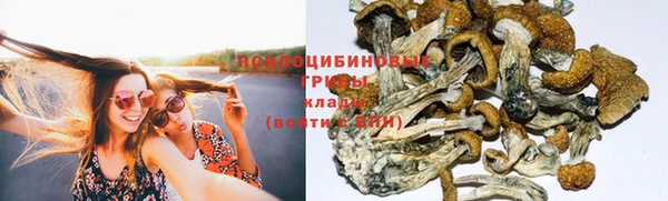 дживик Белая Холуница
