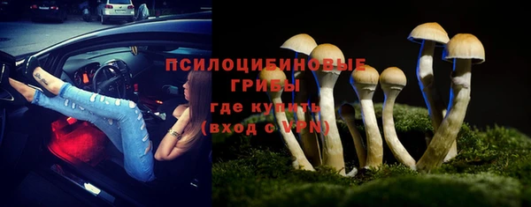 дживик Белая Холуница