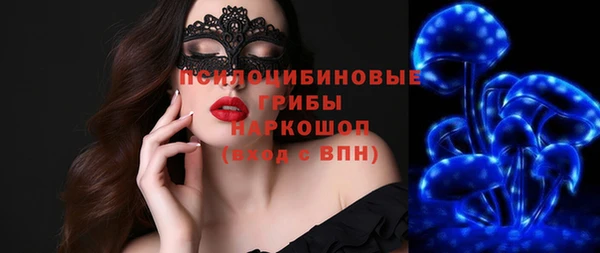 молекула духа Ахтубинск