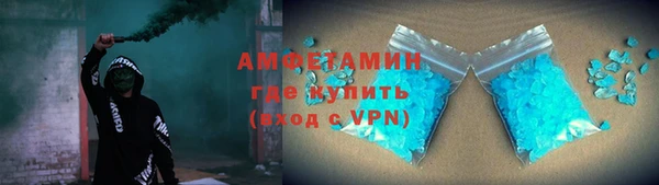 молекула духа Вяземский