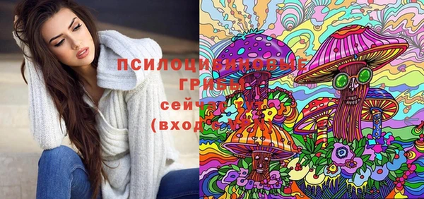 молекула духа Ахтубинск