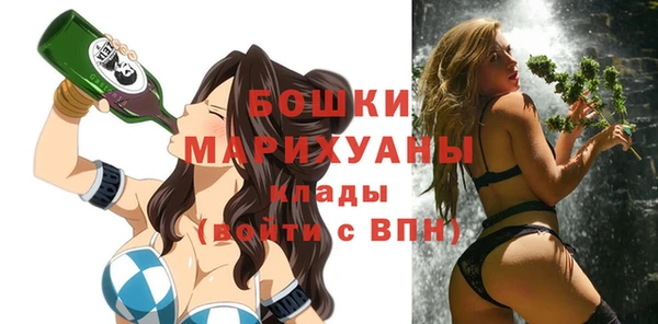 молекула духа Вяземский