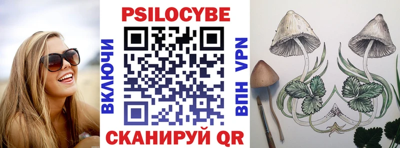 omg вход  Георгиевск  Галлюциногенные грибы GOLDEN TEACHER 